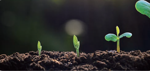 手持式土壤分析儀 S450