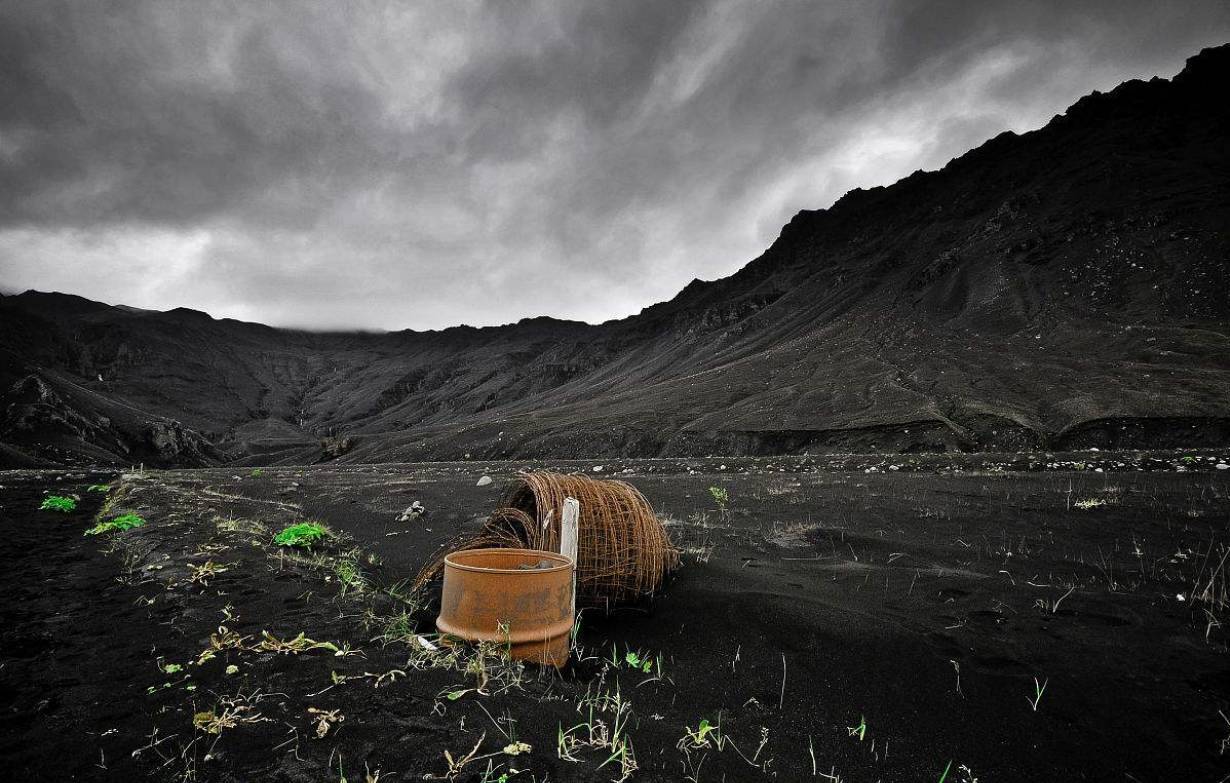 解決方案 | A650煤灰成分分析儀在煤灰檢測方面的應用優勢