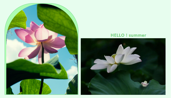 1658472779.png image.png