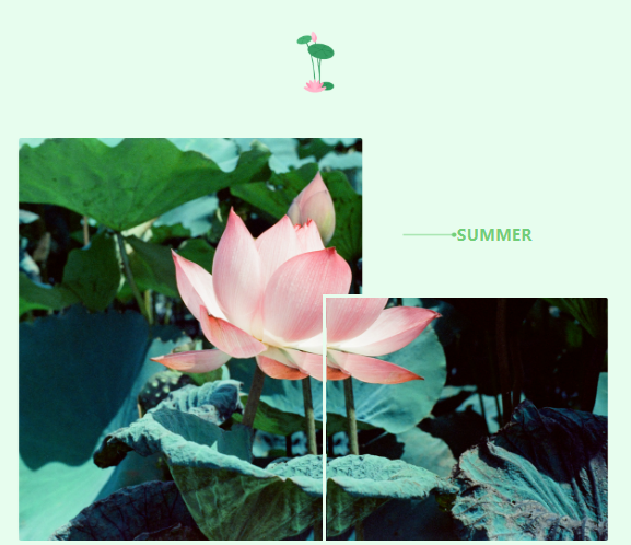 1658472812.png image.png