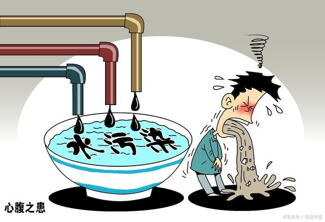 1670295926.jpeg a1ec08fa513d26972bdcf406111501fd4216d857.jpeg