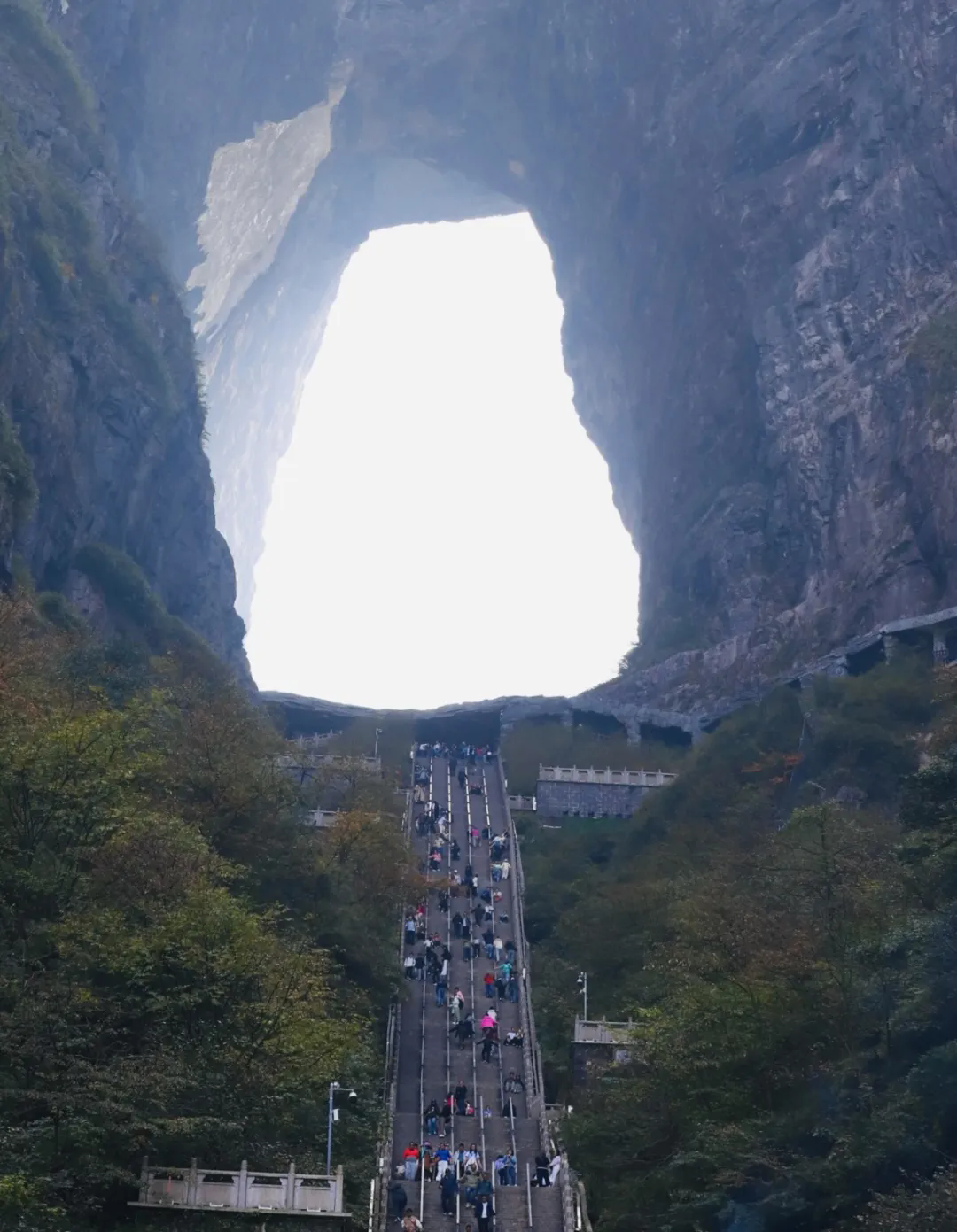 1730855001.png 640.webp (11).png