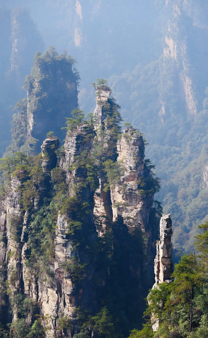 1730855768.png 8.png